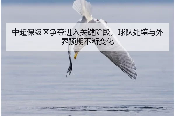 中超保级区争夺进入关键阶段，球队处境与外界预期不断变化